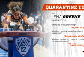 Quarantine Q & A with Lena Greene